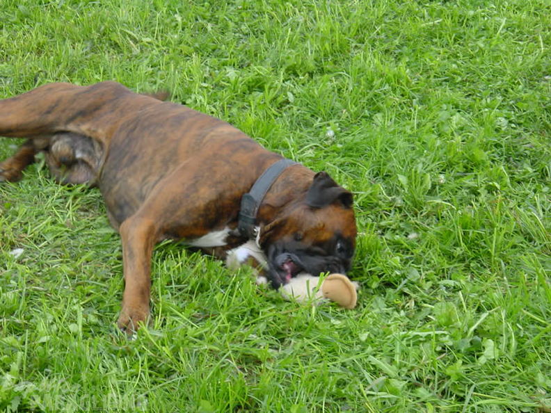 2003 Rhoen Open Wasserkuppe 004