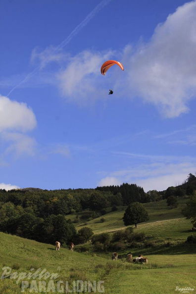 2012 PGAWC2012 Wasserkuppe 097