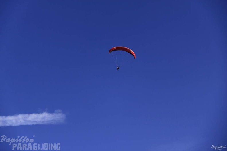 2012 PGAWC2012 Wasserkuppe 159
