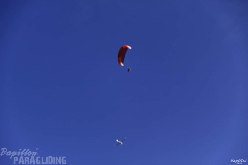 2012 PGAWC2012 Wasserkuppe 160