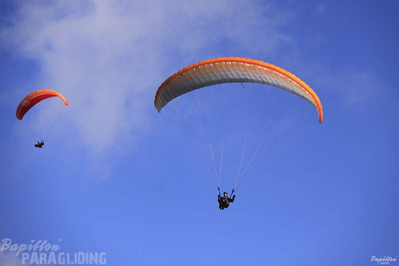 2012 PGAWC2012 Wasserkuppe 176