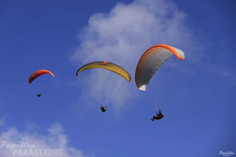 2012 PGAWC2012 Wasserkuppe 177