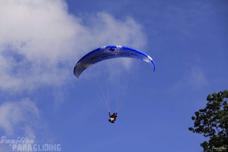 2012 PGAWC2012 Wasserkuppe 231