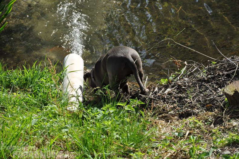 PGAWC Worldcup 2014 229