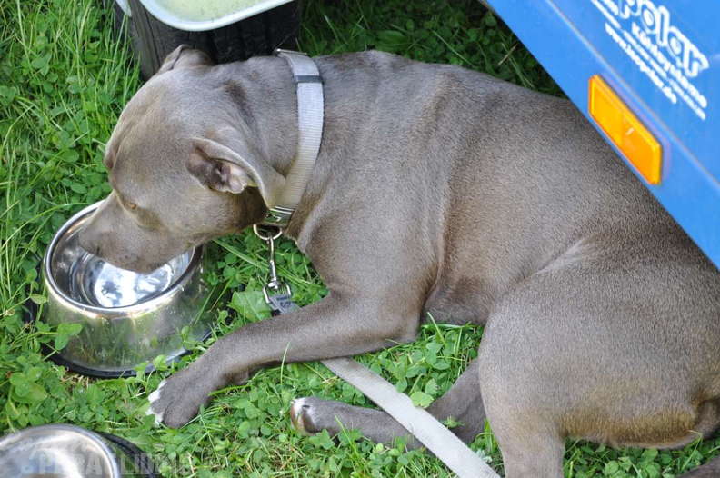 PGAWC Worldcup 2014 652