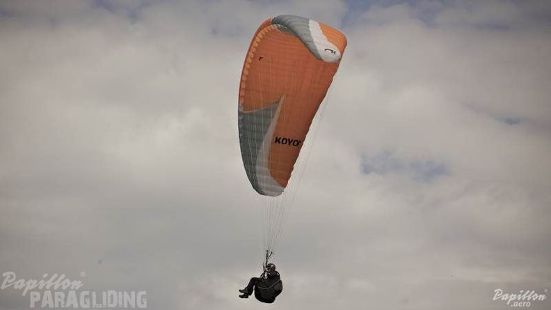 2013 DH30.13 Luesen Michael 059