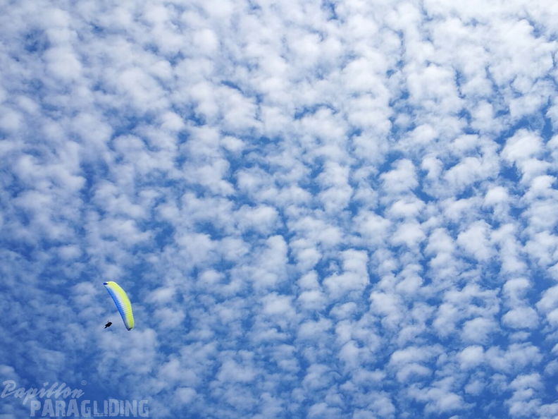 Papillon Paragliding-Luesen DH27.1710