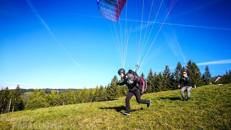 DH41.17 Luesen-236
