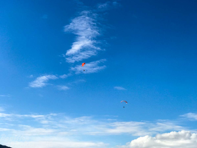 DH7.18 Paragliding-191