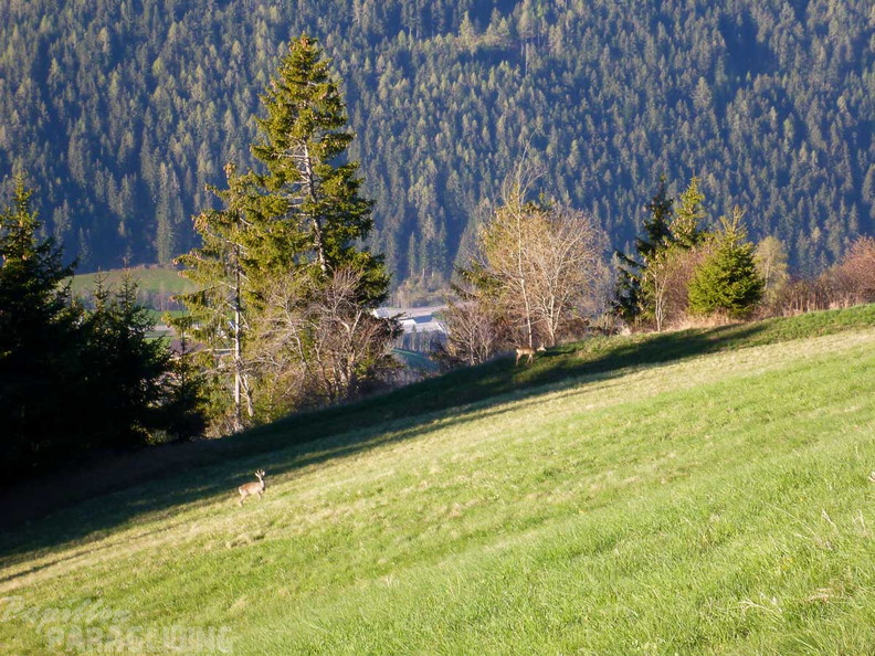 DH15.19 Luesen-Paragliding-252