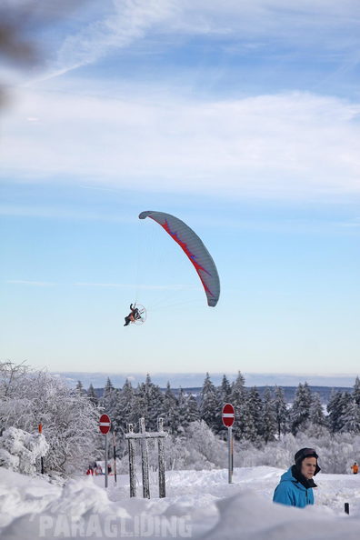 2010 UL Winter Papillon 005