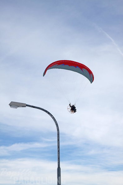 2010 UL Winter Papillon 006