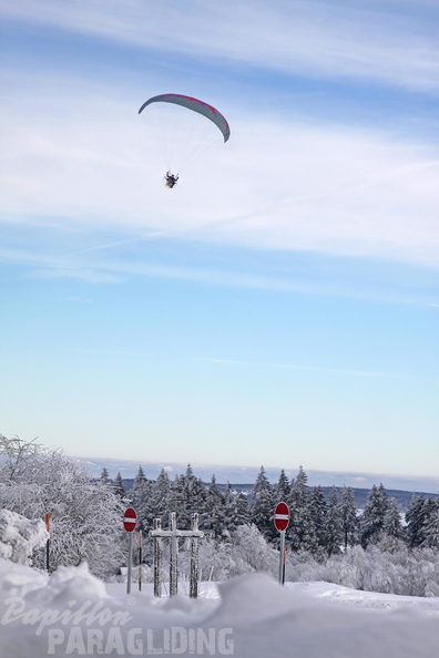 2010 UL Winter Papillon 007