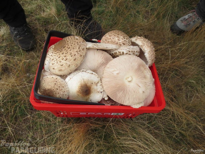 2013 FC40.13 Castelluccio 049