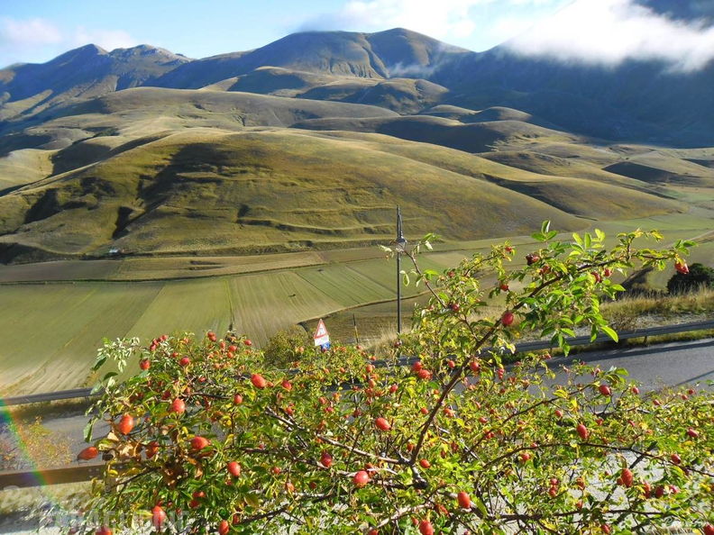 2013 FC40.13 Castelluccio 072