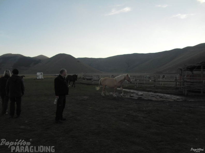 2013 FC40.13 Castelluccio 165