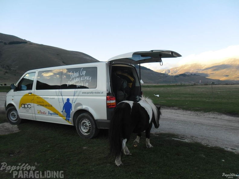 2013 FC40.13 Castelluccio 166