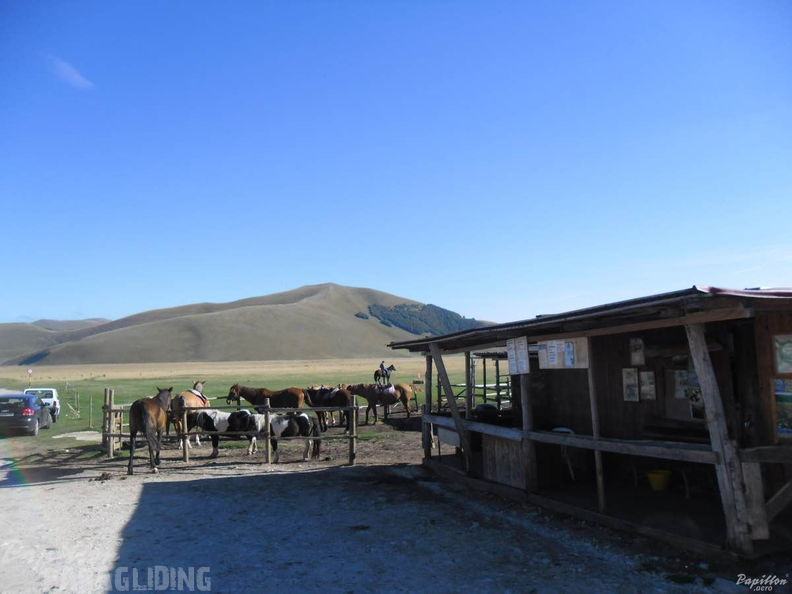 2013 FC40.13 Castelluccio 232