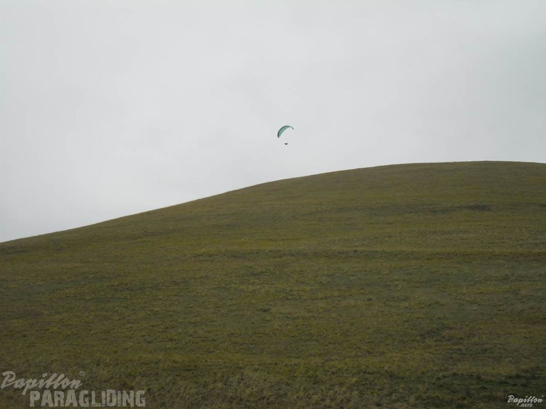 2013 FC40.13 Castelluccio 251