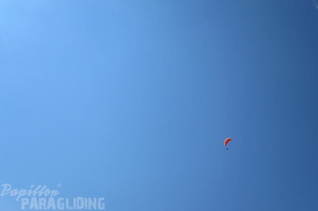 IMG 3077