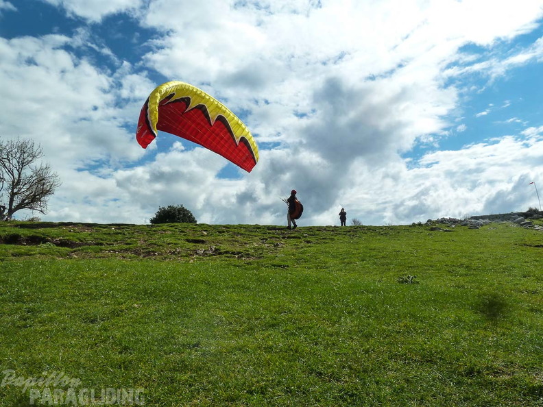 Paragliding-Norma FNO38.16-103