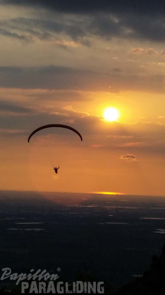 Paragliding-Norma FNO38.16-131