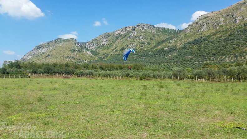 Paragliding-Norma FNO38.16-146