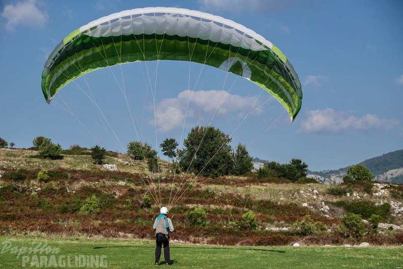 Paragliding-Norma FNO38.16-149