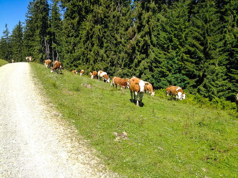 FR27.18 STR-Ruhpolding-121