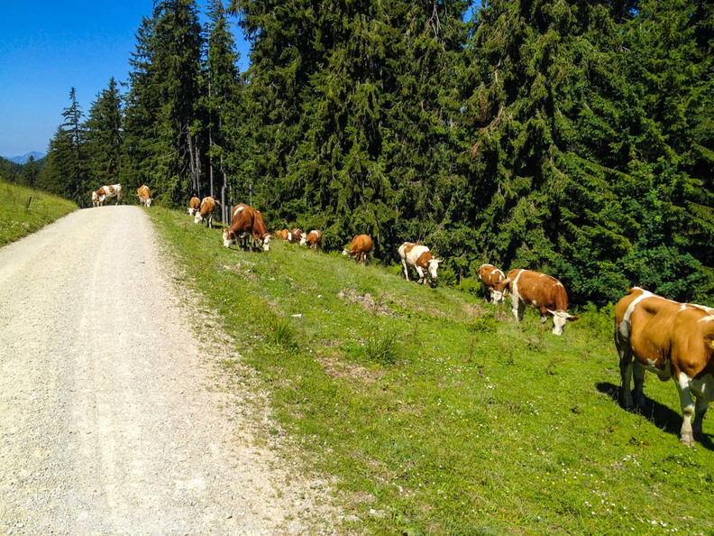 FR27.19 STR-Ruhpolding-122
