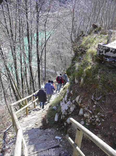 2008 SLO2.08 Slowenien Papillon 004