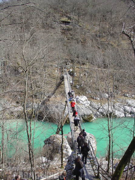 2008 SLO2.08 Slowenien Papillon 006