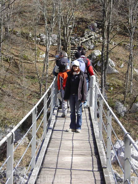 2008 SLO2.08 Slowenien Papillon 007