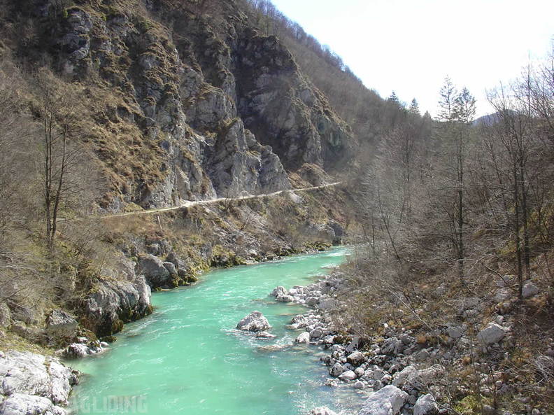 2008 SLO2.08 Slowenien Papillon 008