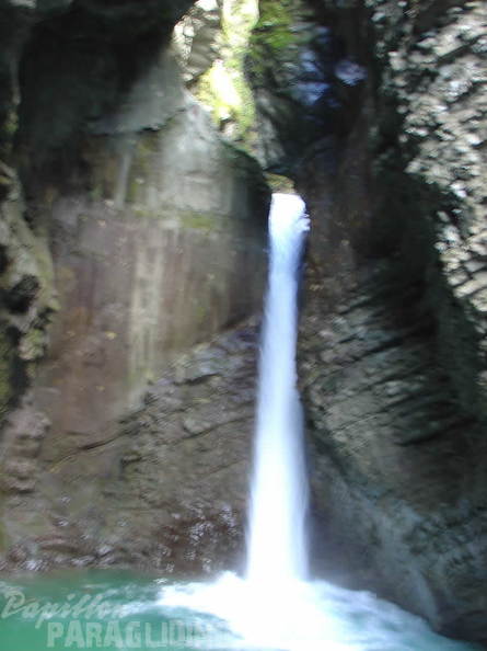 2008 SLO2.08 Slowenien Papillon 011