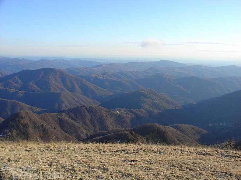 2008 SLO2.08 Slowenien Papillon 013