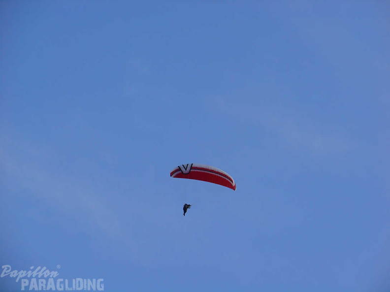 2008 SLO2.08 Slowenien Papillon 019