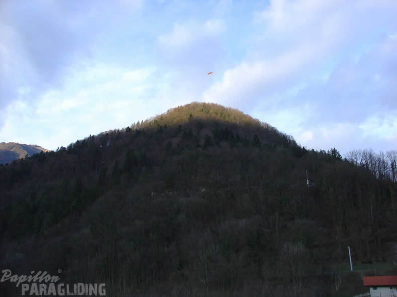 2008 SLO2.08 Slowenien Papillon 021