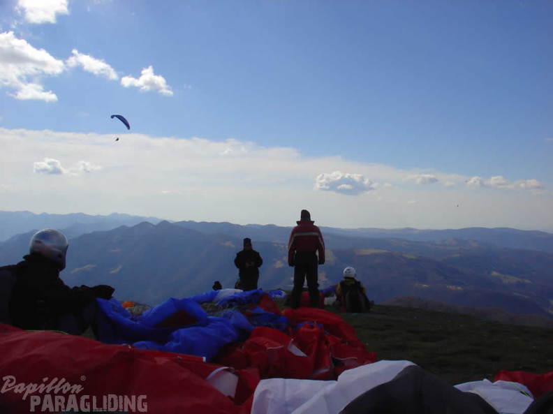 2008 SLO2.08 Slowenien Papillon 022