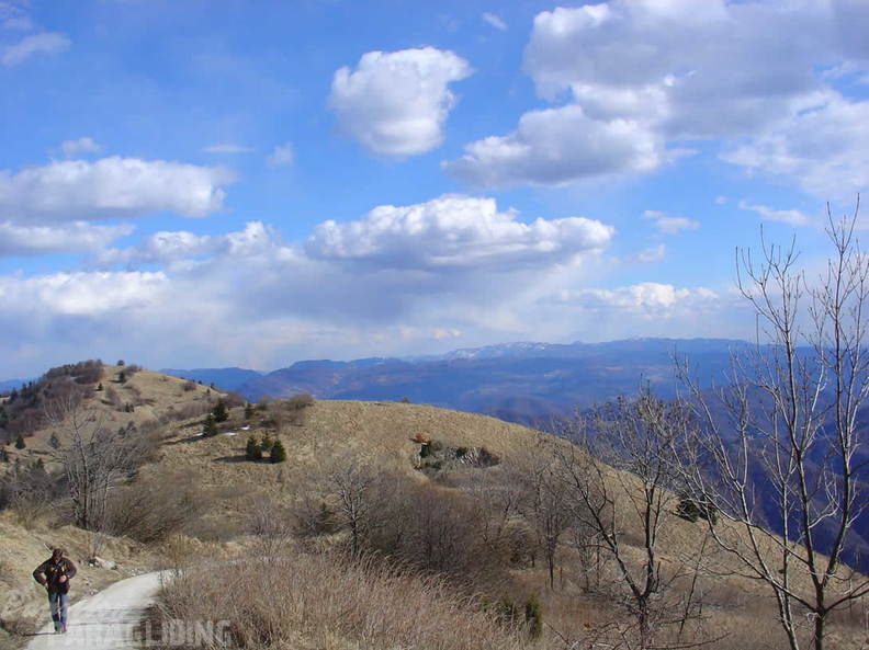 2008 SLO2.08 Slowenien Papillon 024