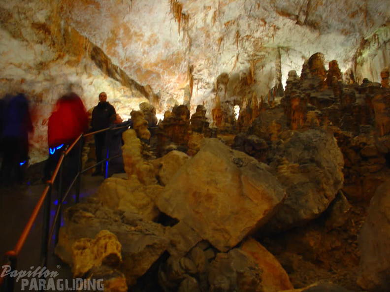 2008 SLO2.08 Slowenien Papillon 030