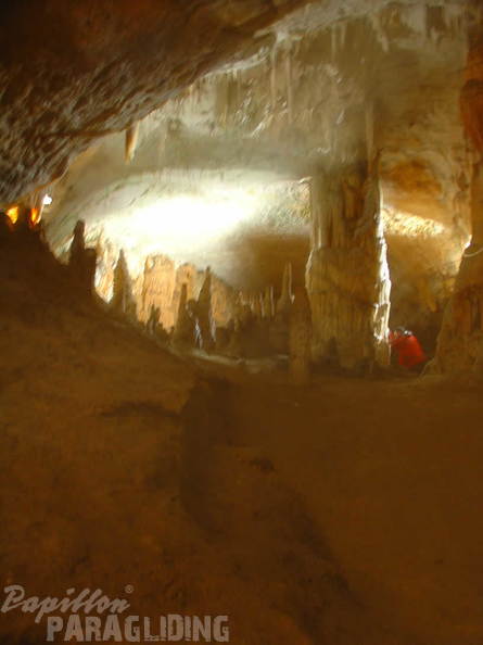 2008 SLO2.08 Slowenien Papillon 032