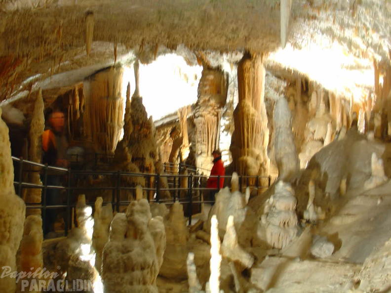 2008 SLO2.08 Slowenien Papillon 033