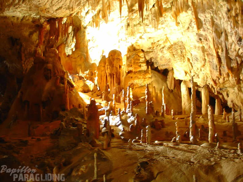 2008 SLO2.08 Slowenien Papillon 034