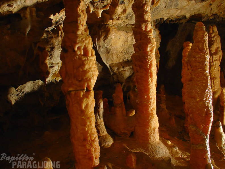 2008 SLO2.08 Slowenien Papillon 035