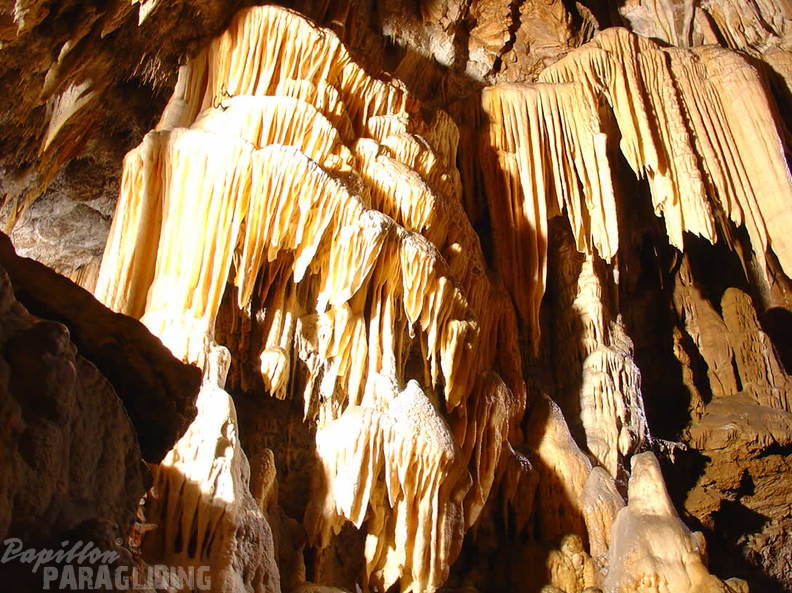 2008 SLO2.08 Slowenien Papillon 036