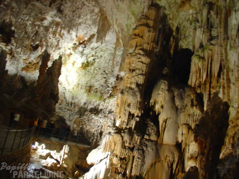 2008 SLO2.08 Slowenien Papillon 037