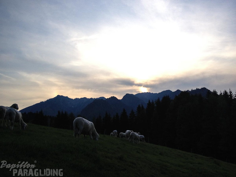 PK20.16-Ruhpolding-Paragliding-1047