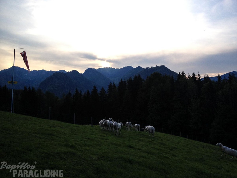 PK20.16-Ruhpolding-Paragliding-1052