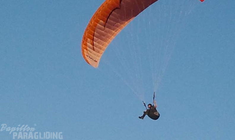 2012 ES.37.12 Paragliding 051